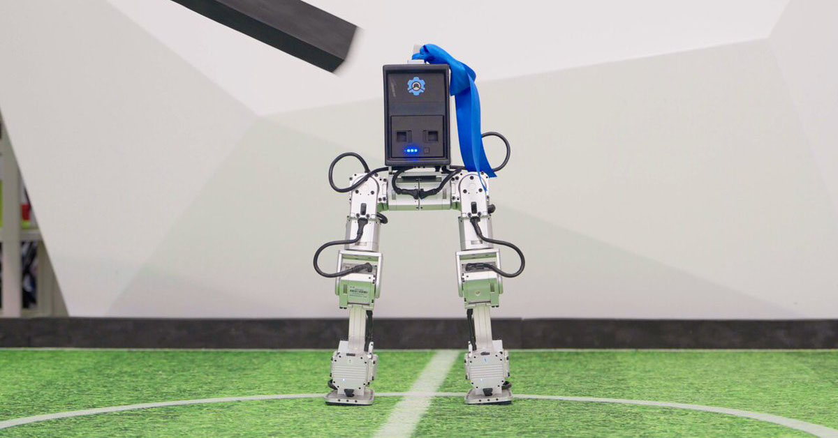 Robot Mini Pi High Torque Robotics